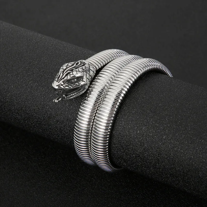 Creative Snake-Shaped Titanium Steel Bracelet for Men - European and American Hipster Fashion Jewelry