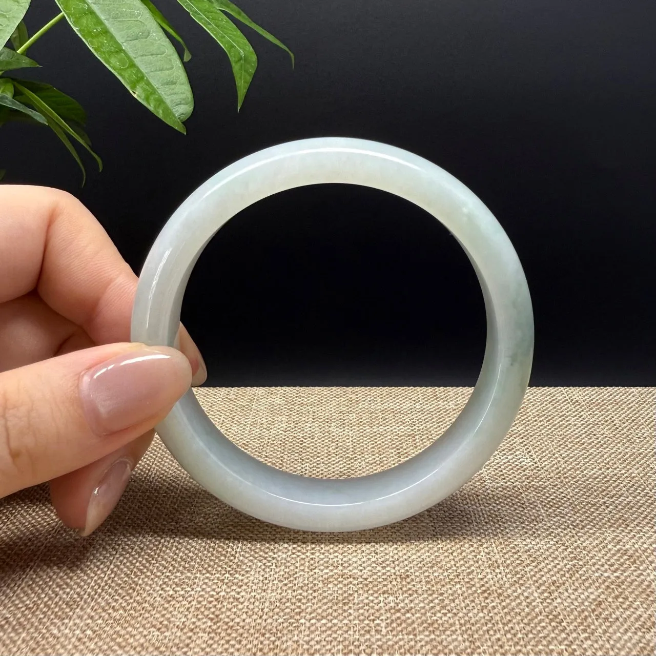 Genuine Burmese White Green Jade Jadeite Bangle Bracelet ( 59.3mm )