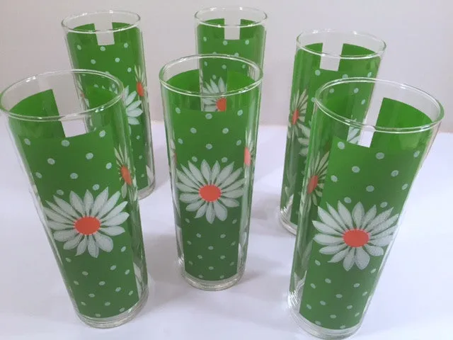 Pasinski Mid-Century Signed Daisy Collins Glasses (Set of 6)